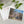 Post Cards